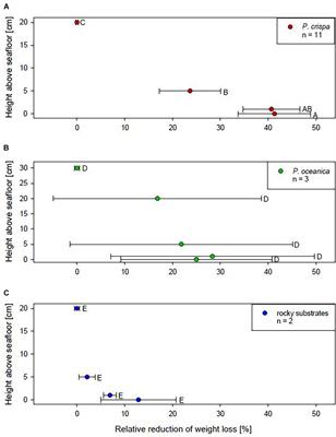 Fleshy Red Algae Mats Influence Their Environment in the Mediterranean Sea